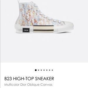 Dior Hightop Multicolor Sneaker